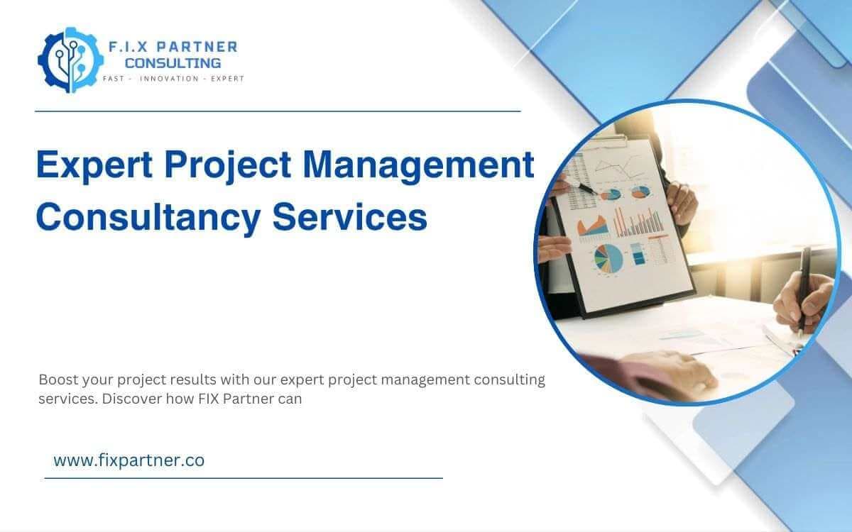 Expert Project Management Consultancy Services